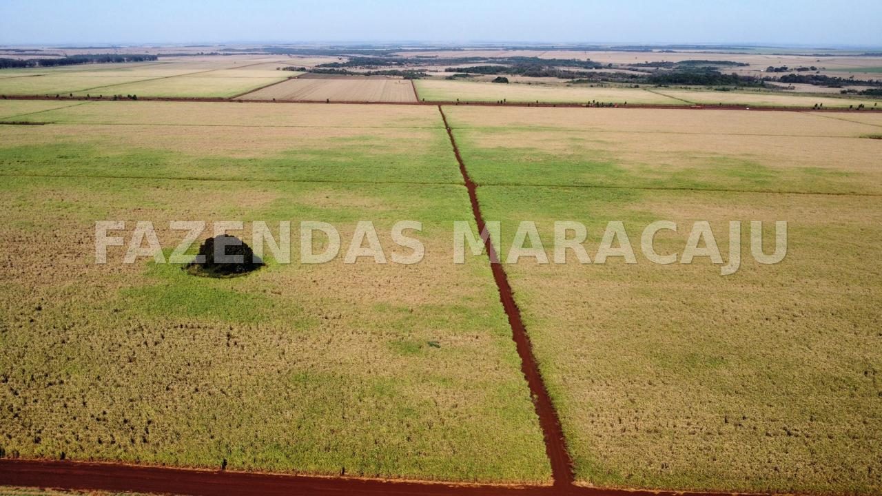 FM 706 — foto de capa