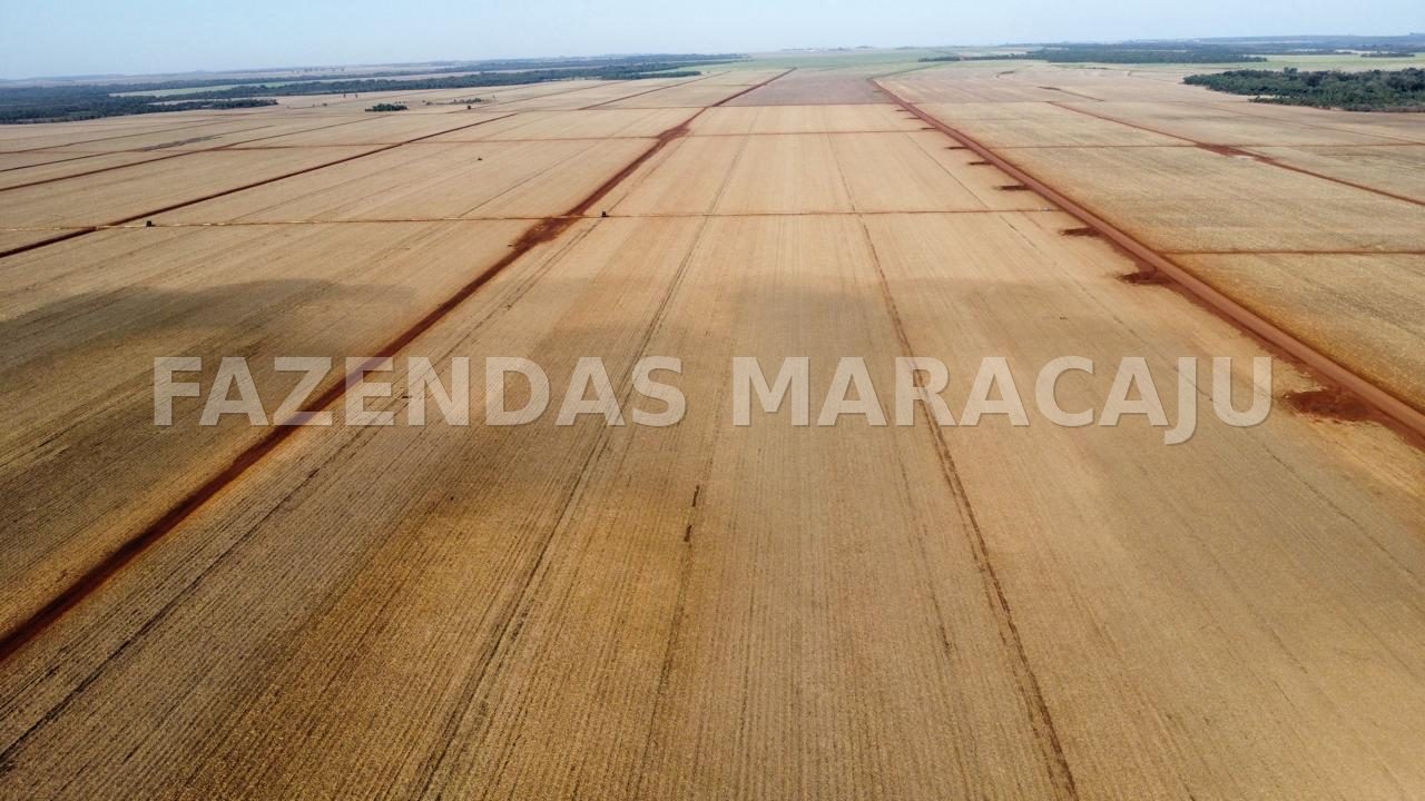 FM 707 — foto de capa