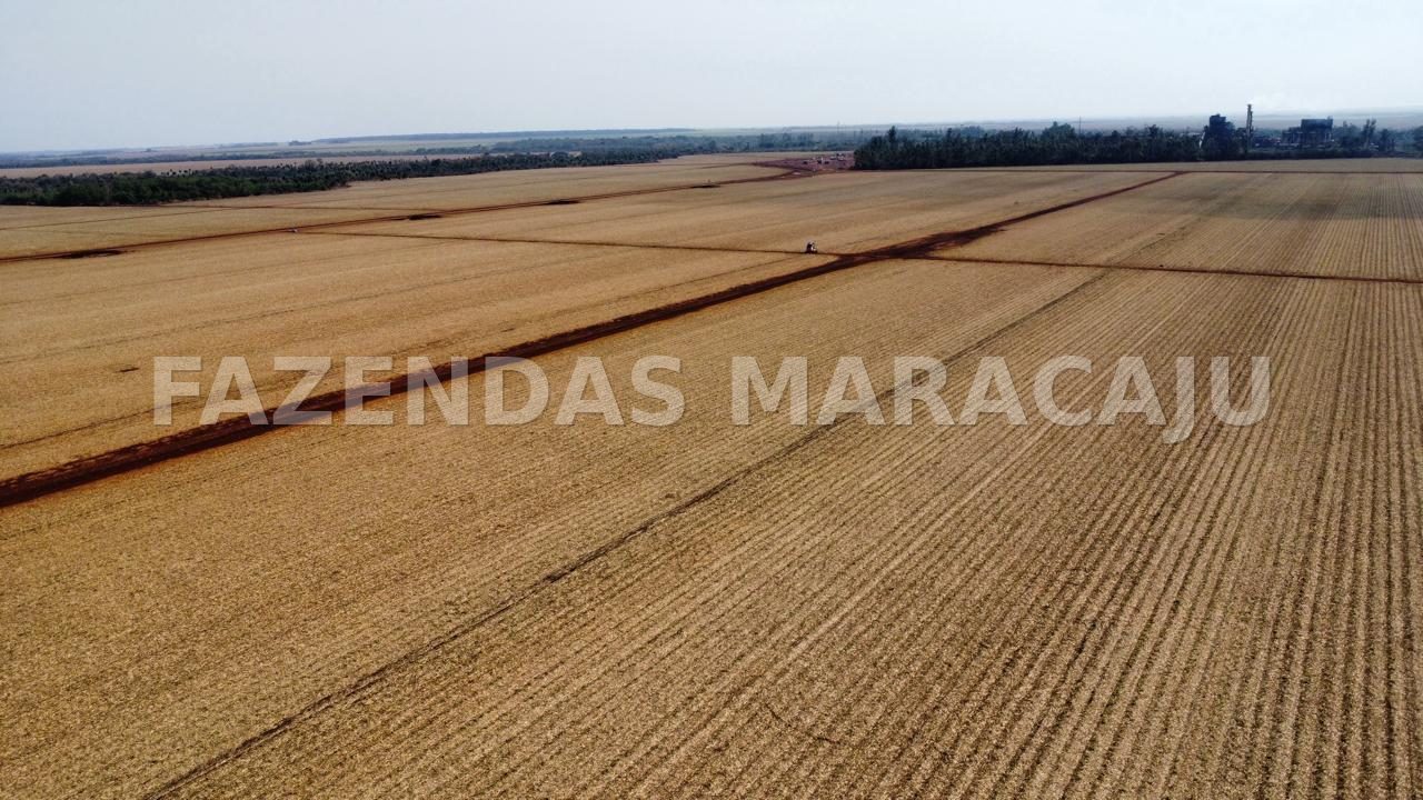 FM 707 — foto 4