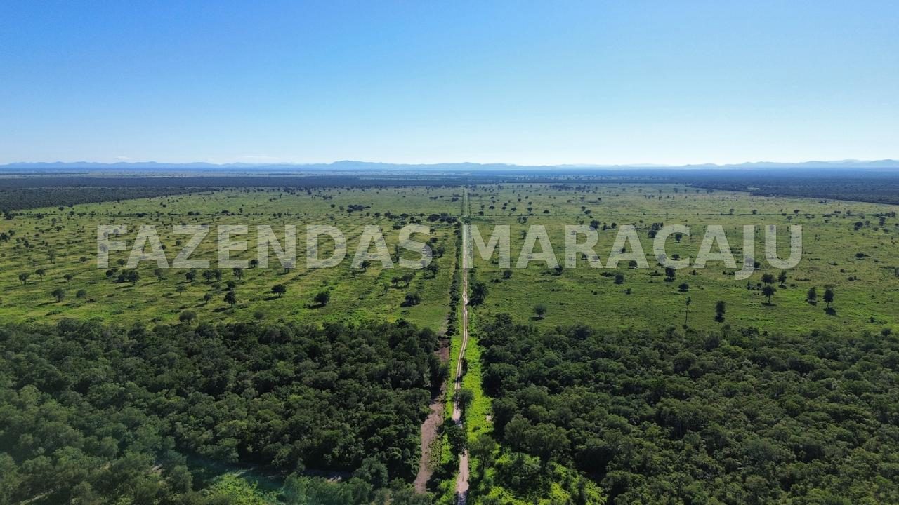 FM 708 — foto 4