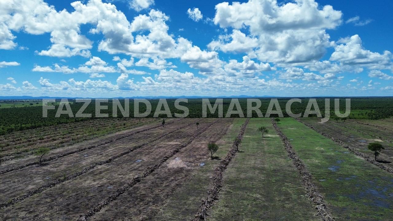FM 708 — foto 8