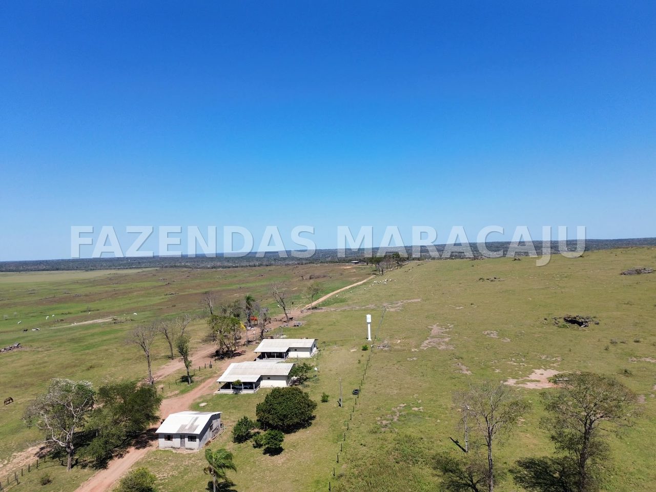 FM 709 — foto 3