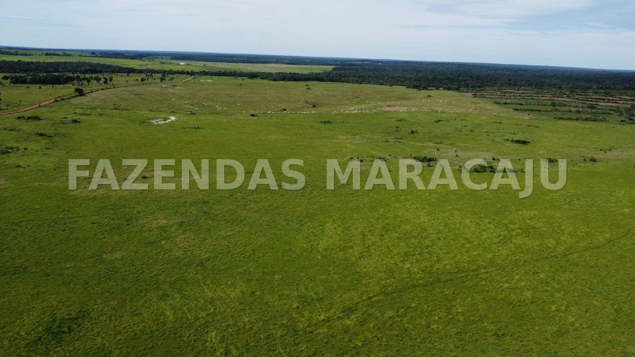 FM 709 — foto 4