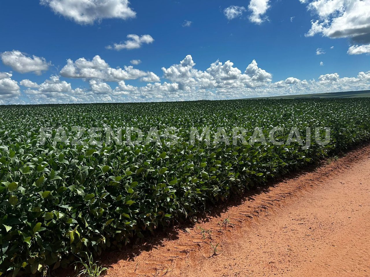 FM 713 — foto 3