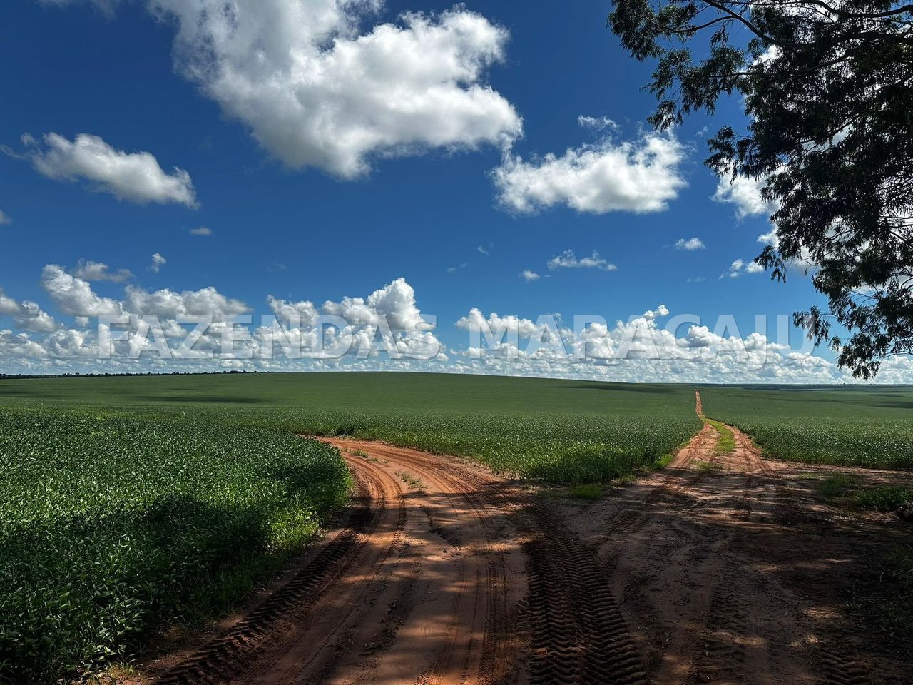 FM 713 — foto 5