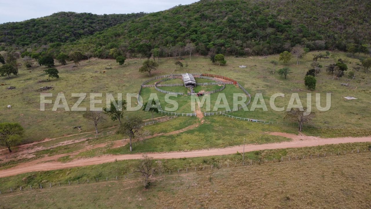 FM 714 — foto 7