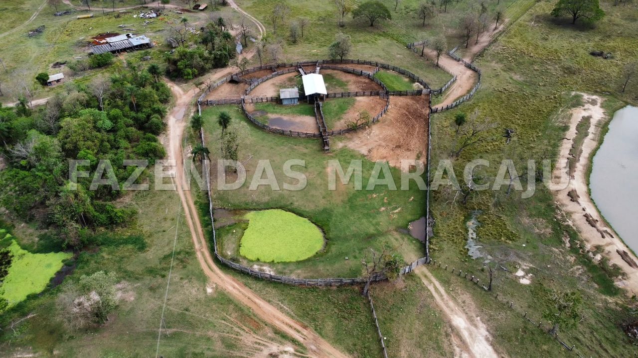 FM 715 — foto de capa