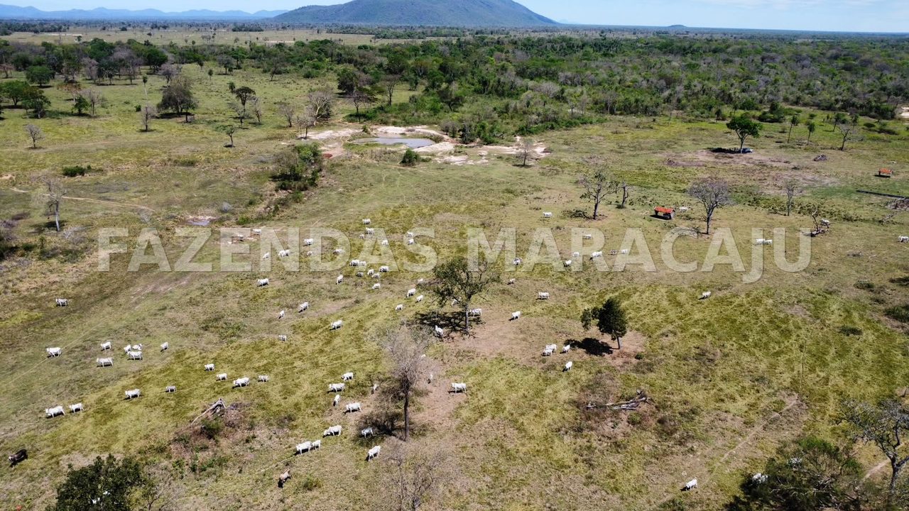FM 715 — foto 4