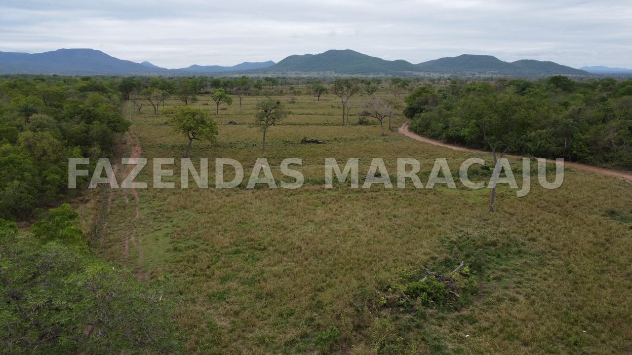 FM 715 — foto 6