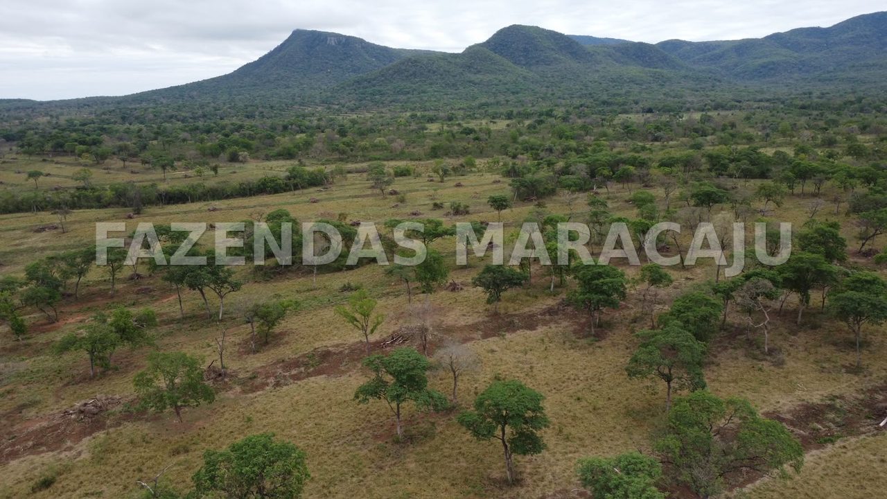 FM 715 — foto 10
