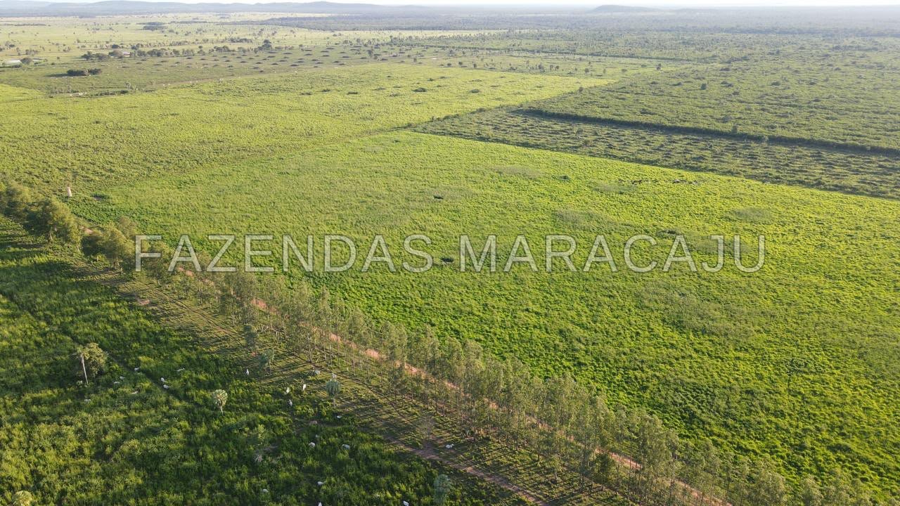 FM 717 — foto de capa