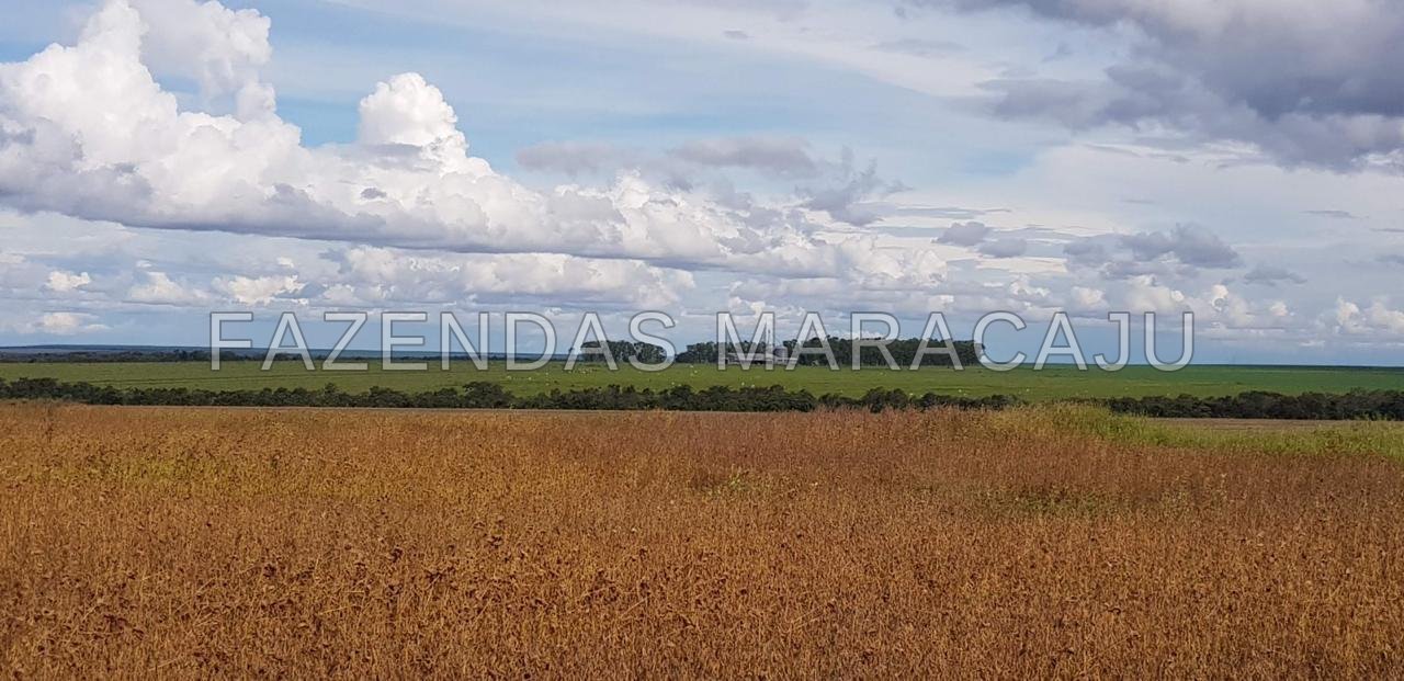 FM 721 — foto de capa