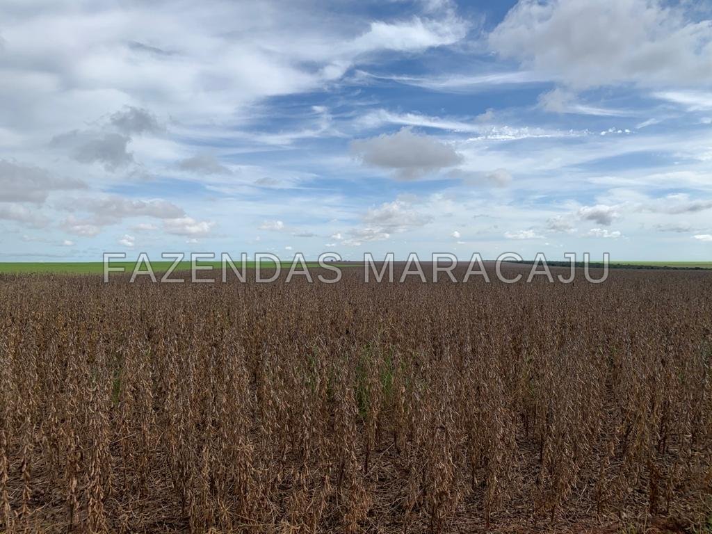 FM 721 — foto 2