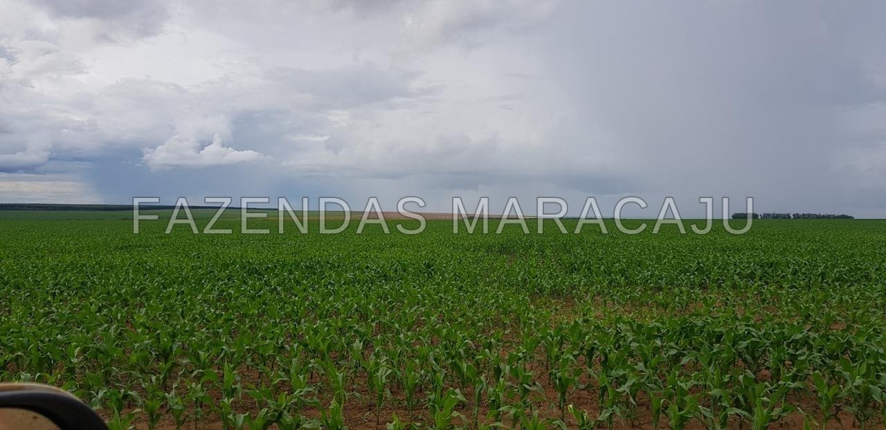 FM 721 — foto 3