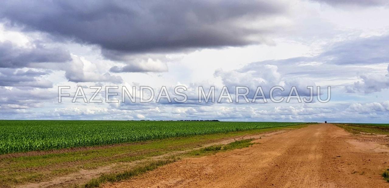 FM 721 — foto 4