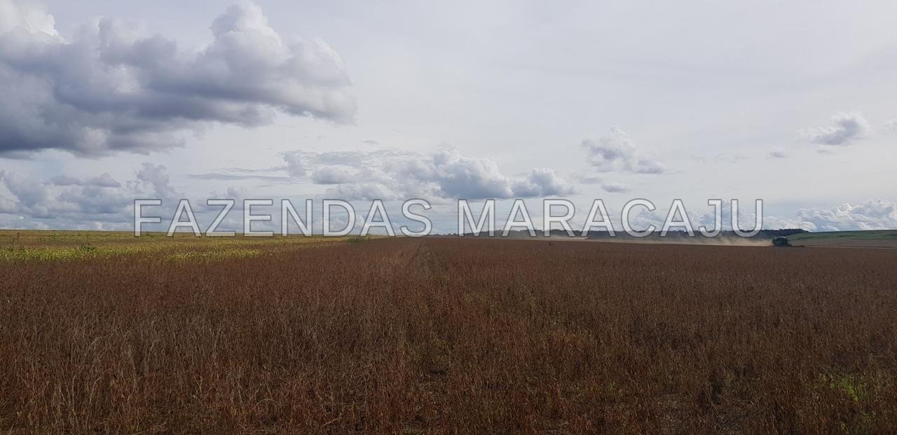 FM 721 — foto 6