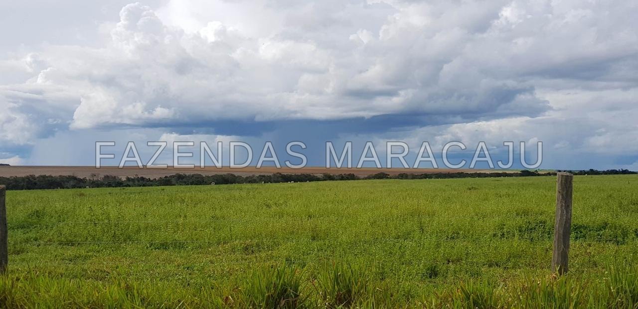 FM 721 — foto 8