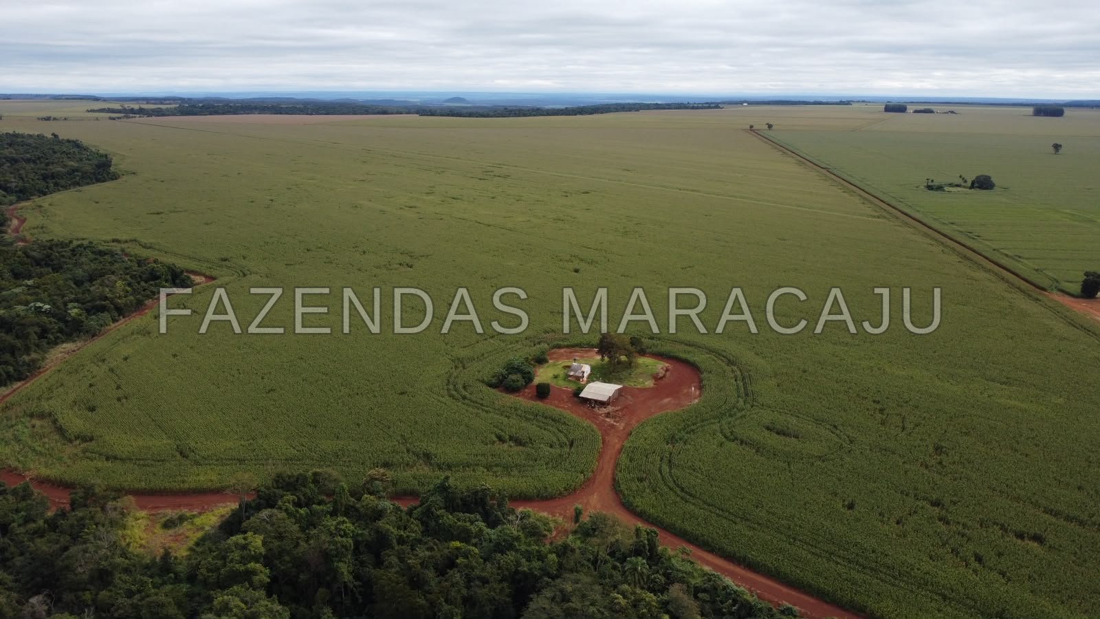 FM 722 — foto de capa