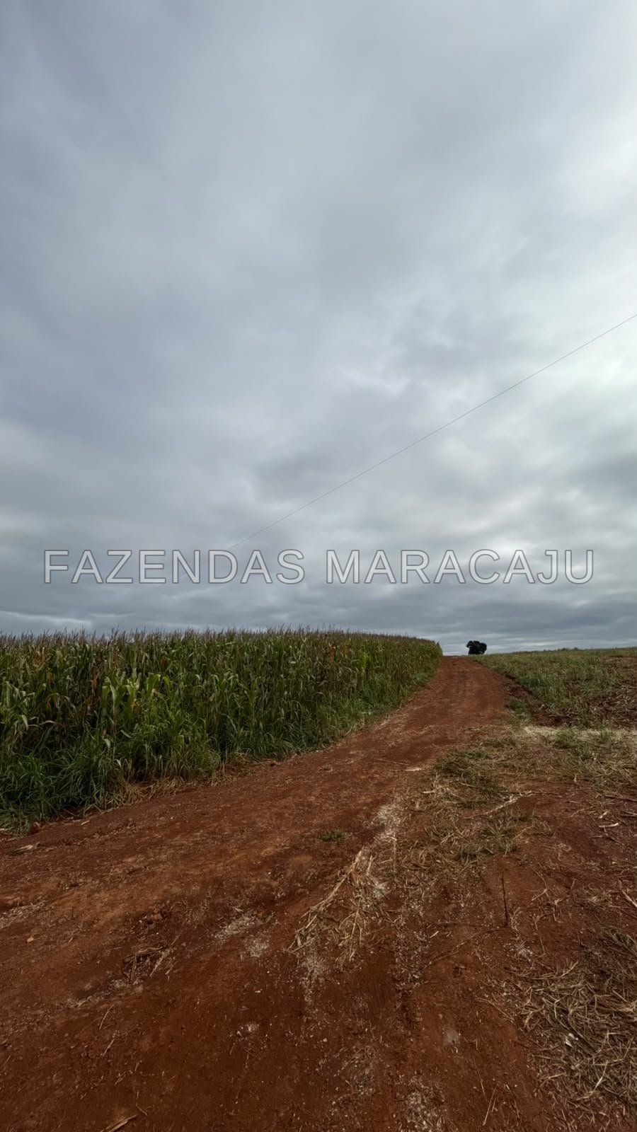 FM 722 — foto 2