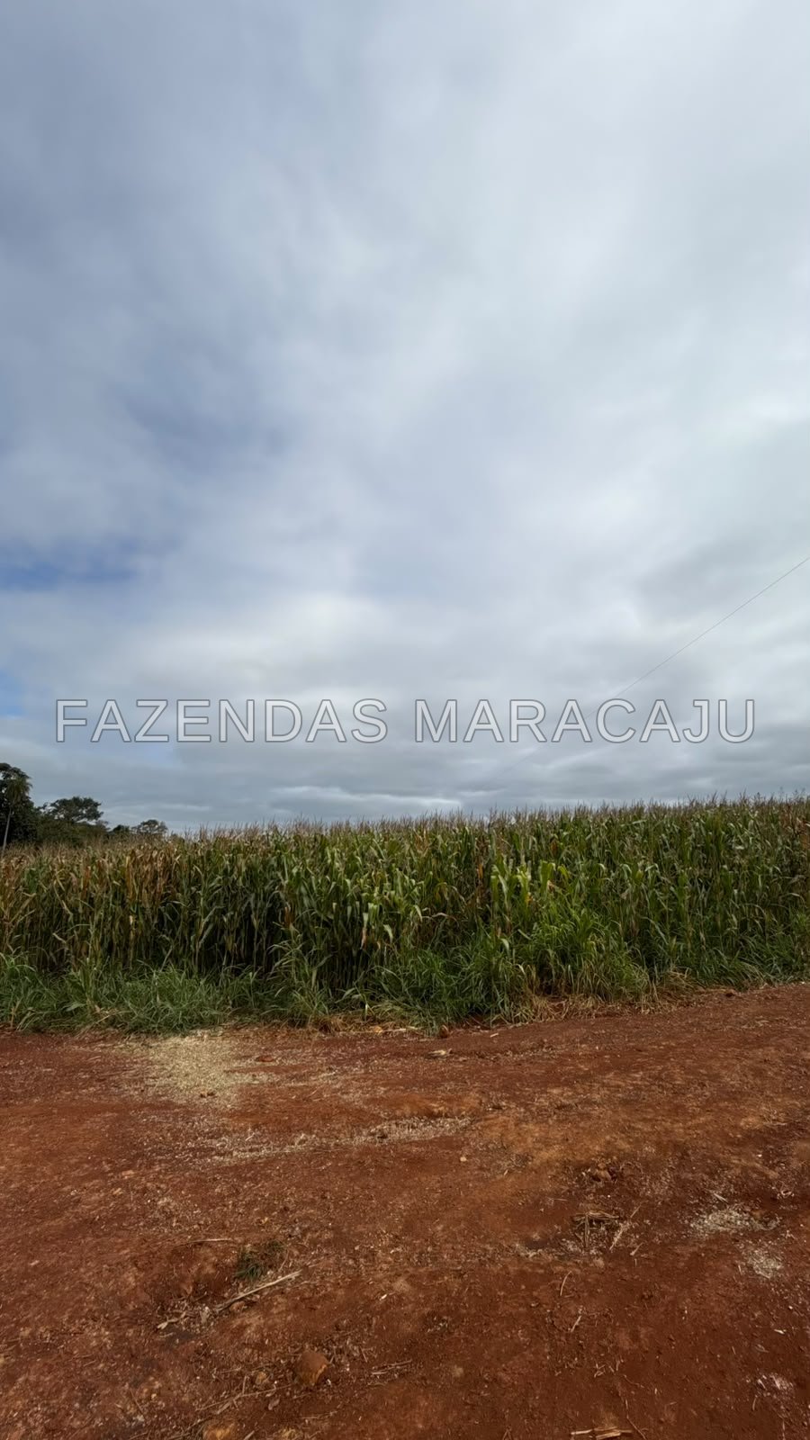 FM 722 — foto 3