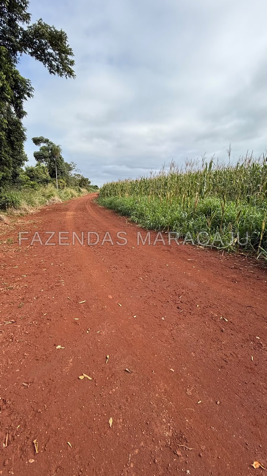 FM 722 — foto 4