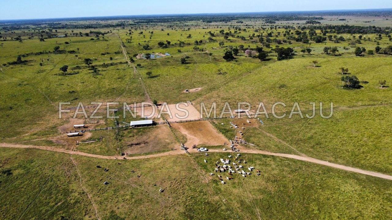 FM 723 — foto de capa