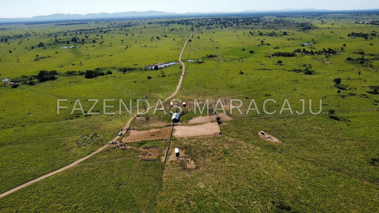 FM 723 — foto 2