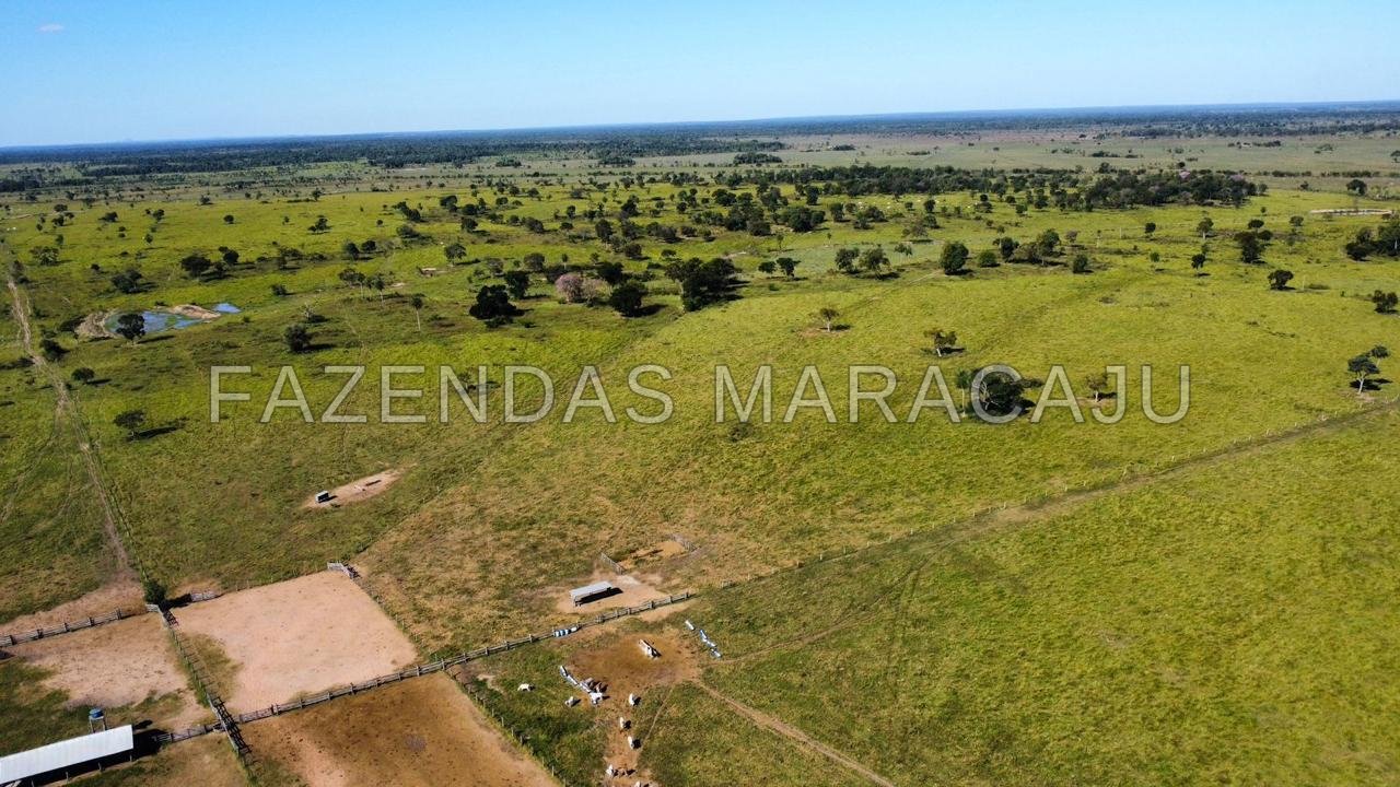 FM 723 — foto 3