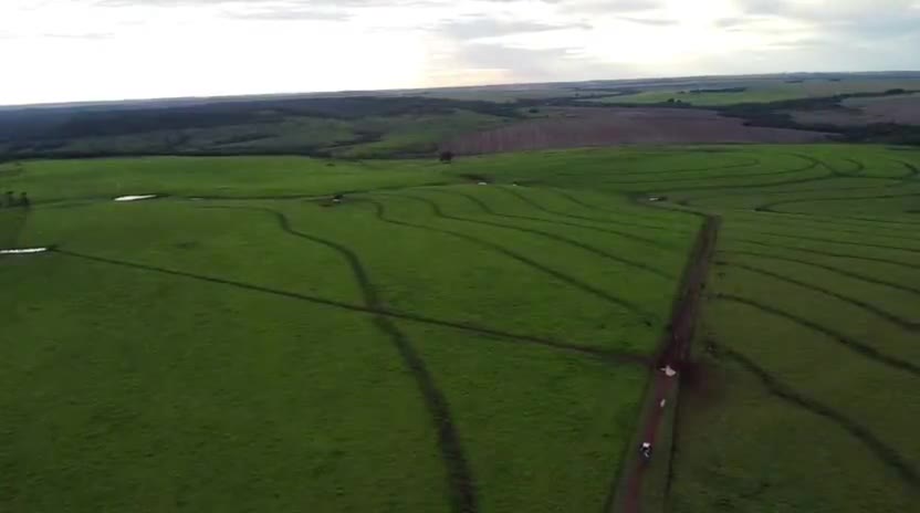 FM 725 — foto de capa