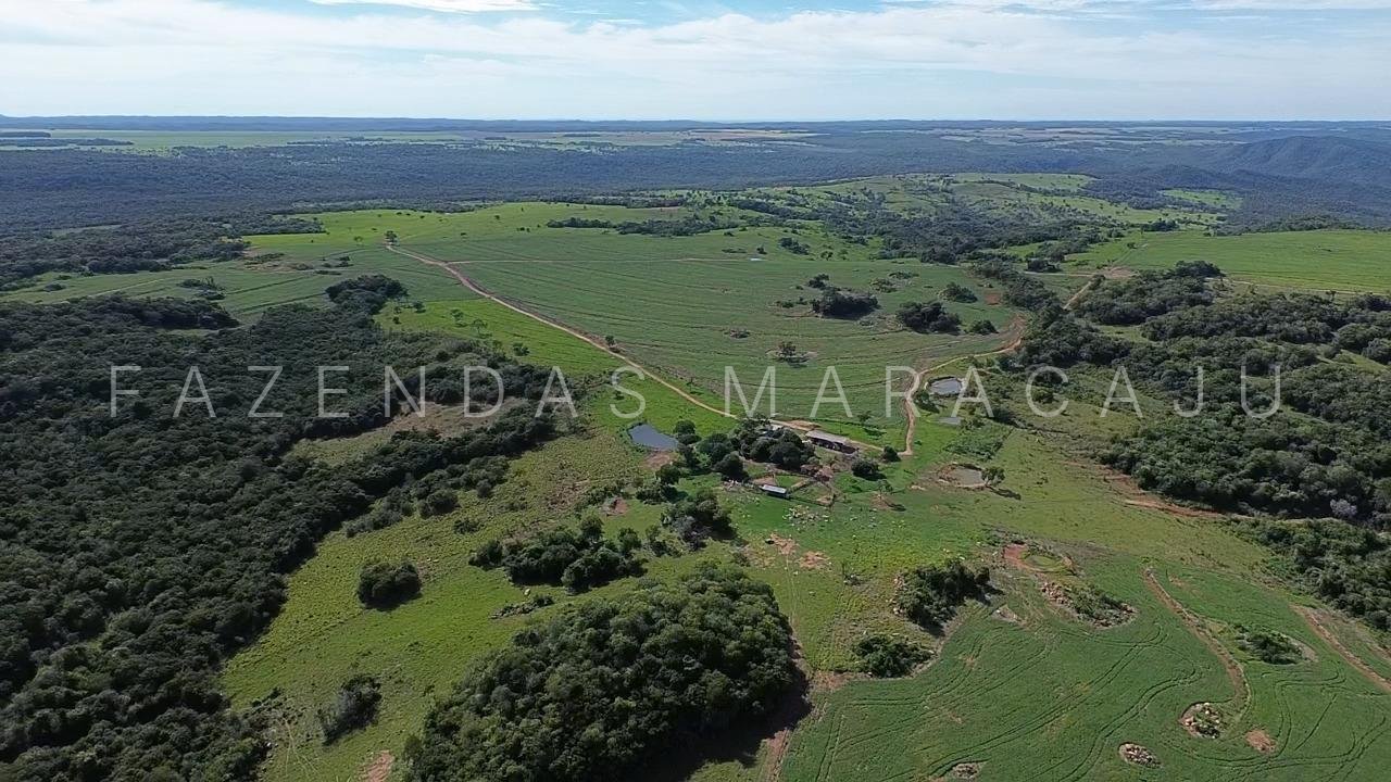 FM 727 — foto 4