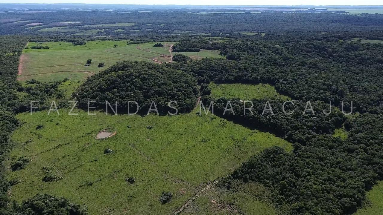 FM 727 — foto 8